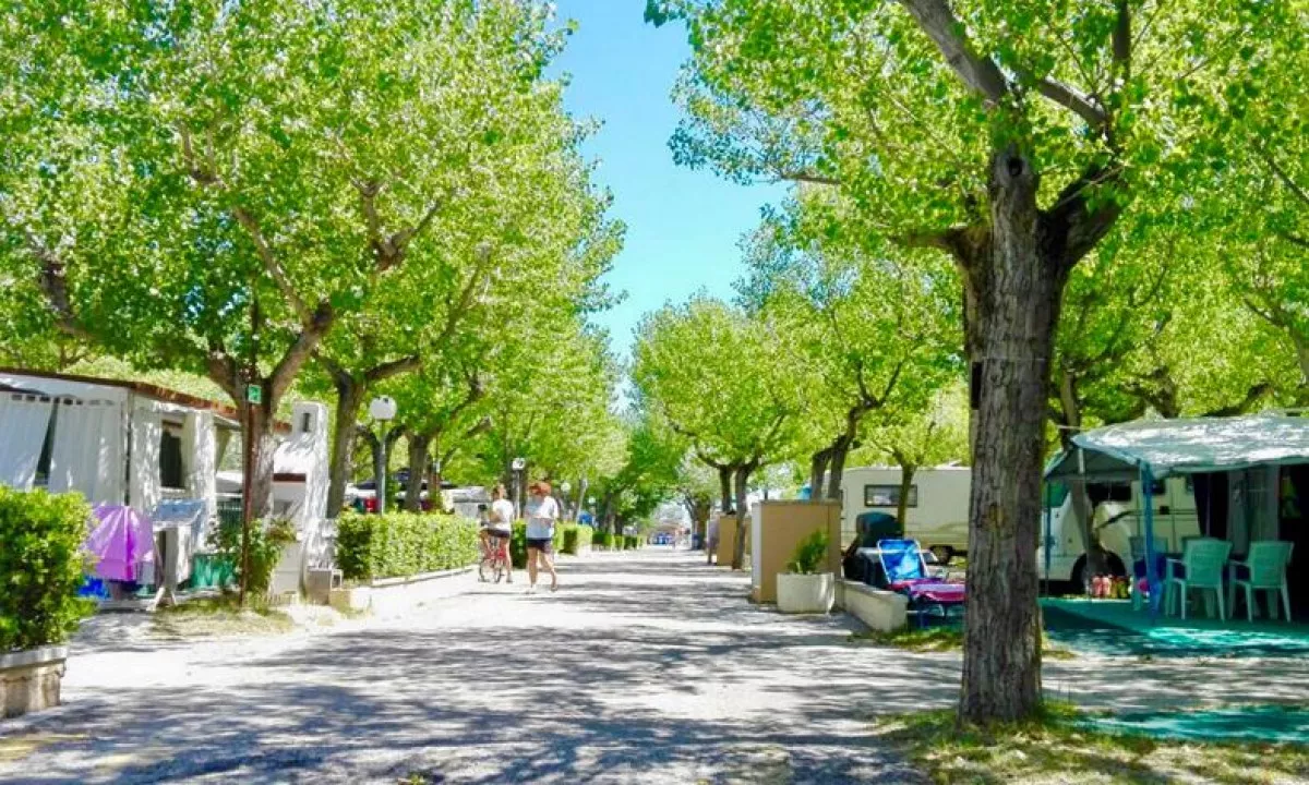 International Riccione Family Camping Village -