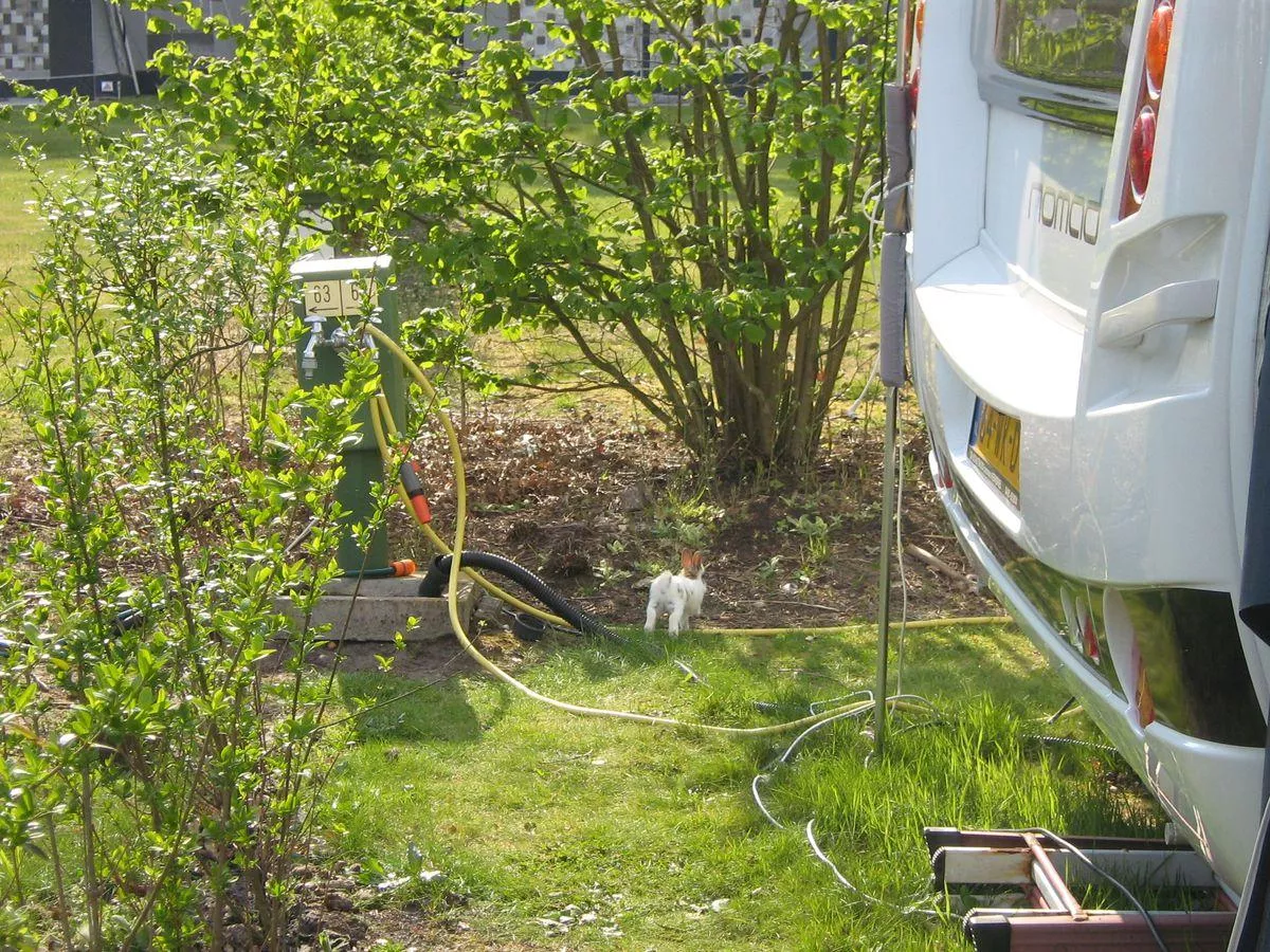 Veluwe camping t Schinkel