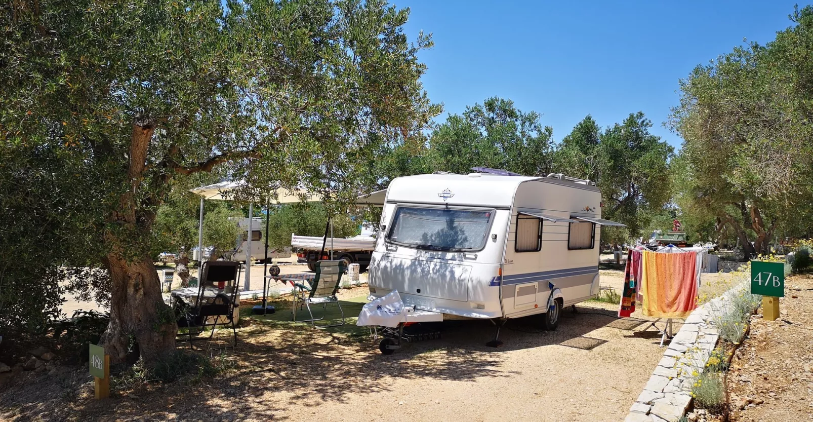 Olivia Green Camping 