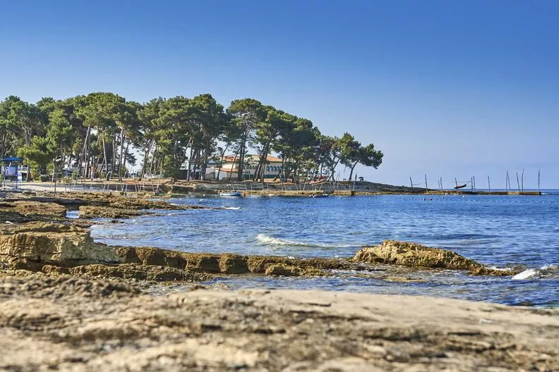Camping Pineta-