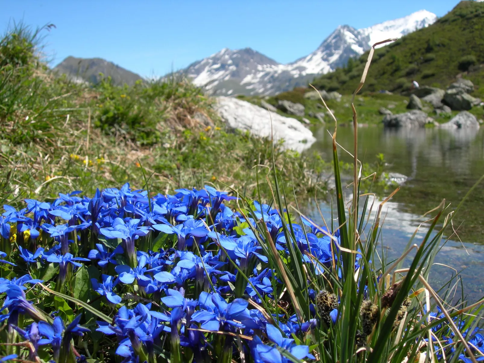 Camping lEden de la Vanoise -