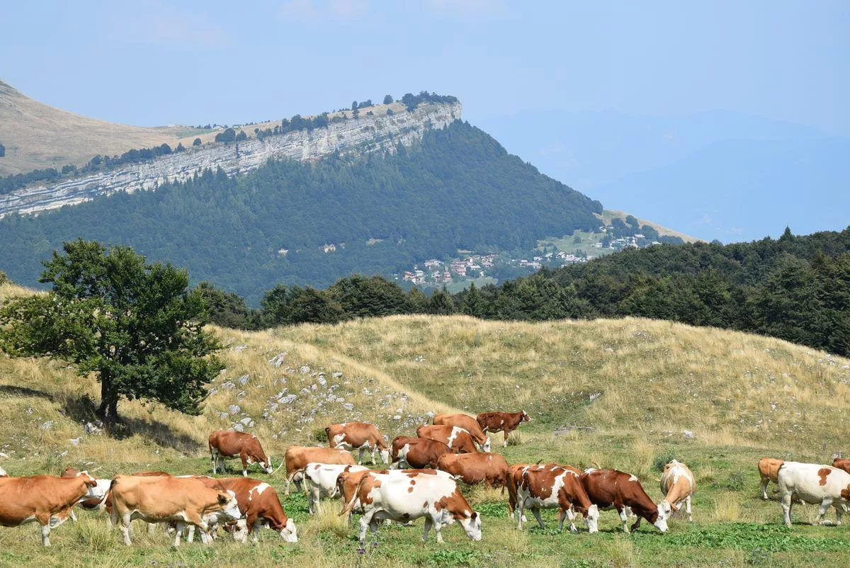 Camping Tiglio -