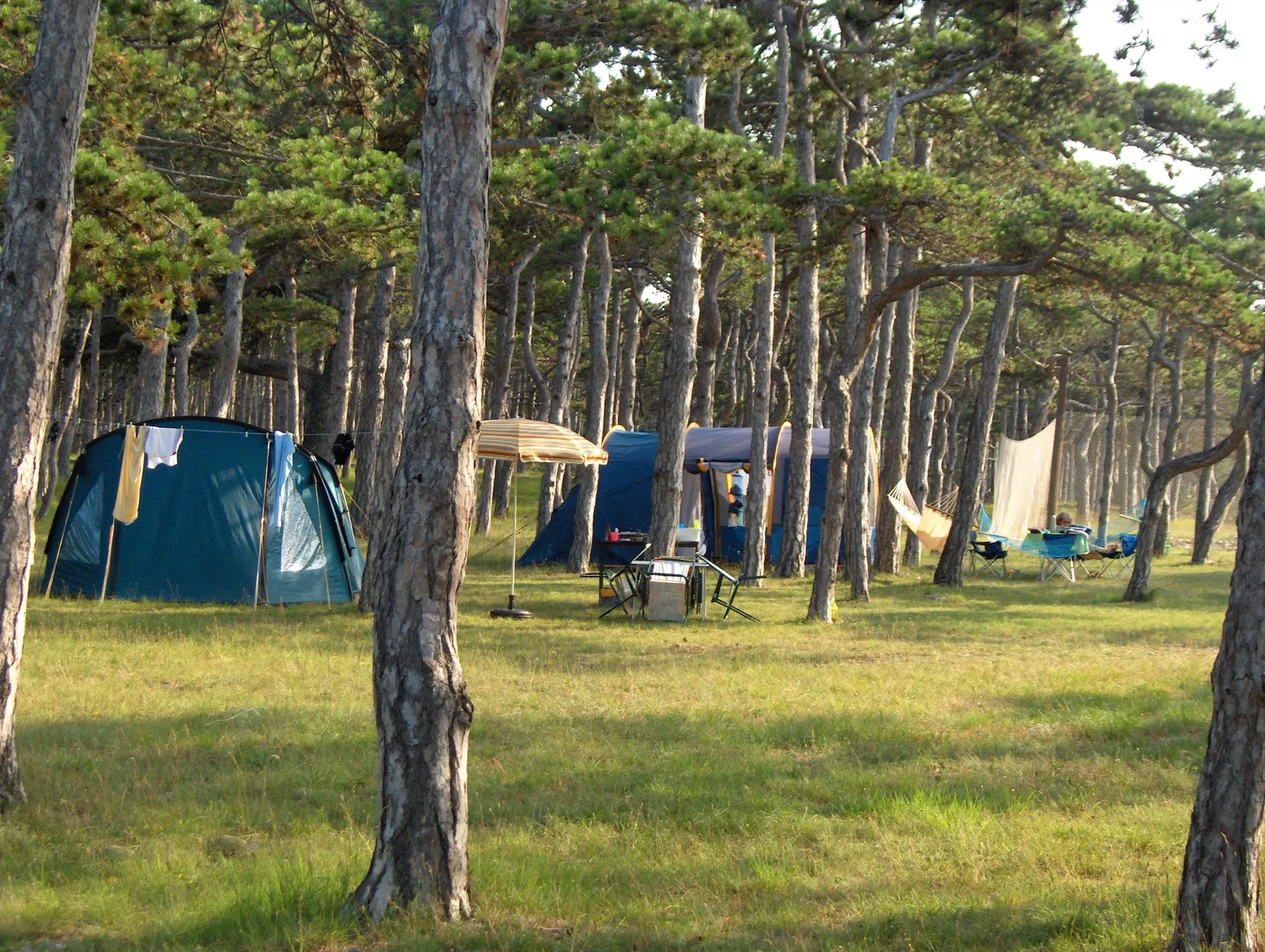 Autocamp Planik 