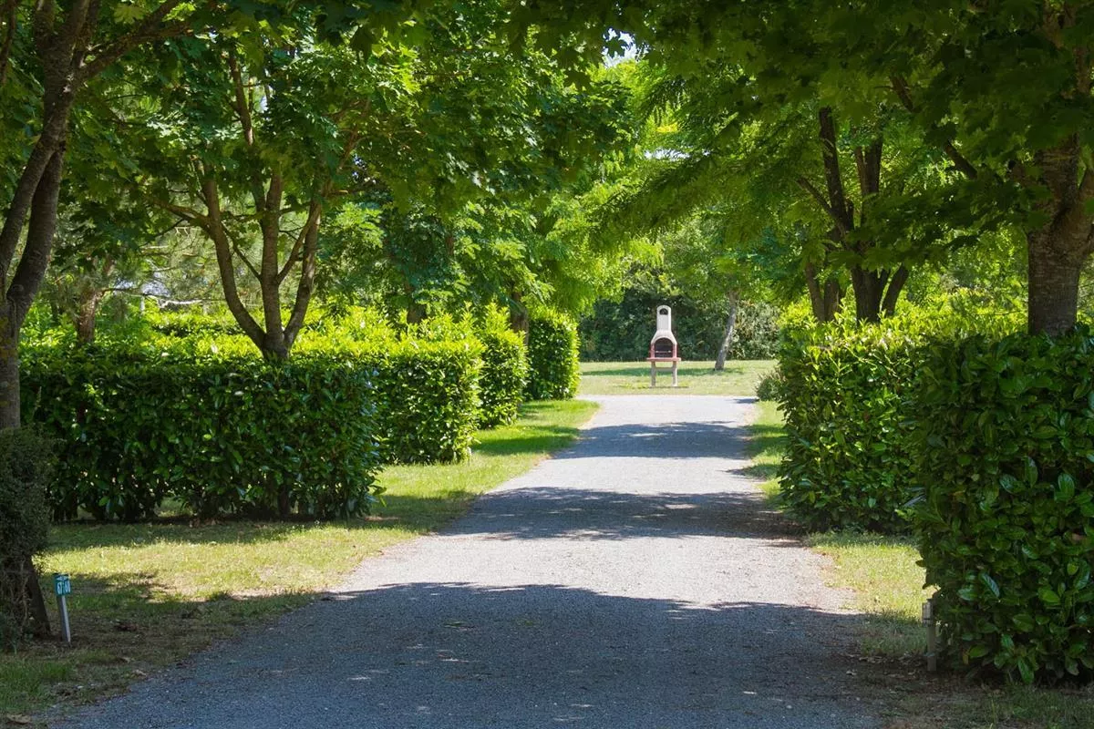 Flower Camping LAbri-Cotier -