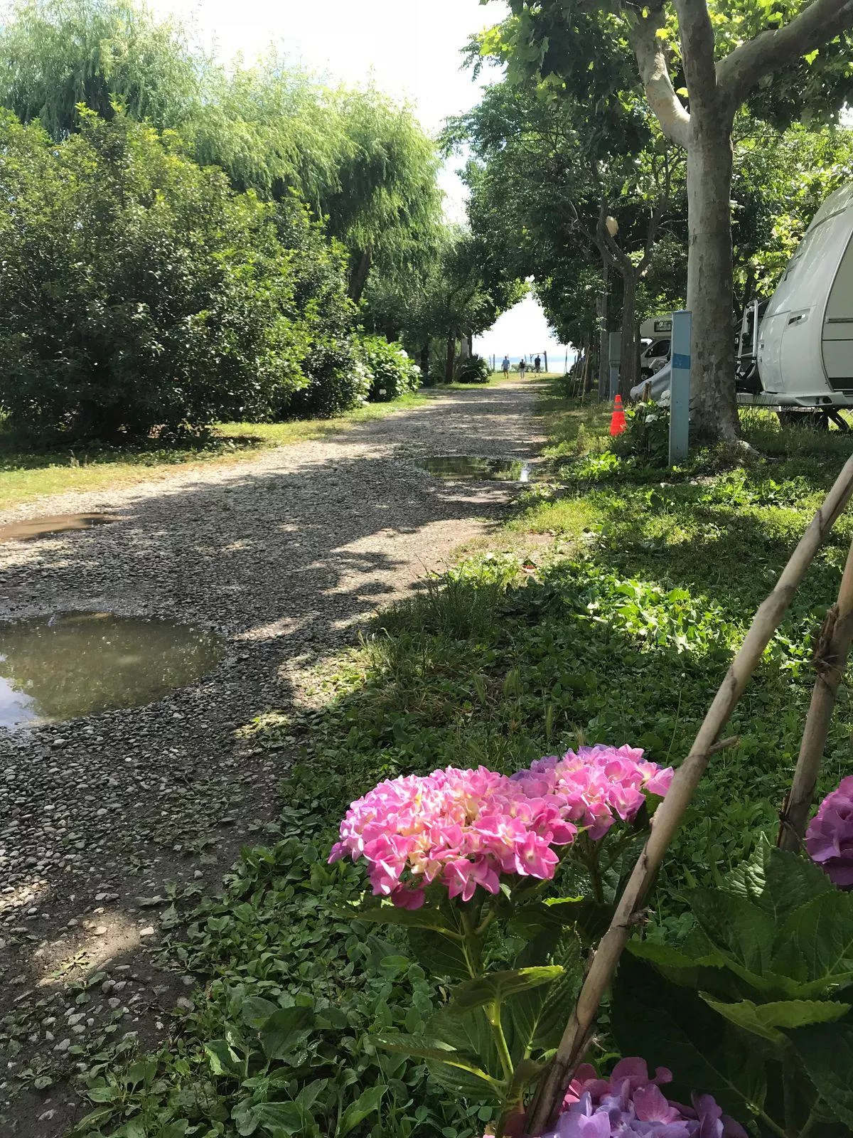 BLU International Camping -