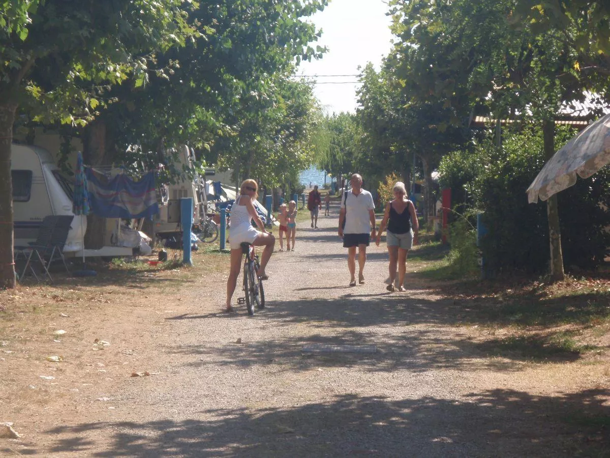 BLU International Camping -