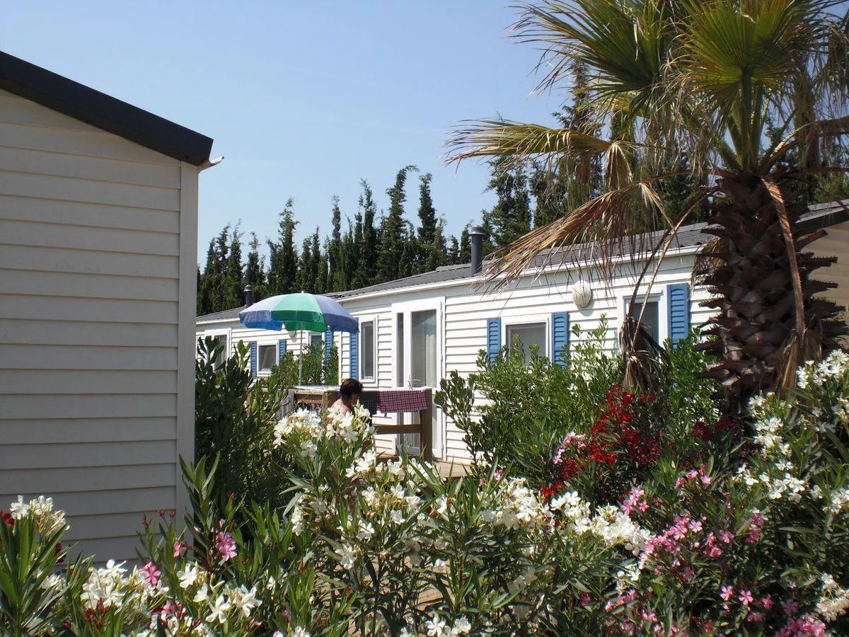 Camping Sènia Tucan -