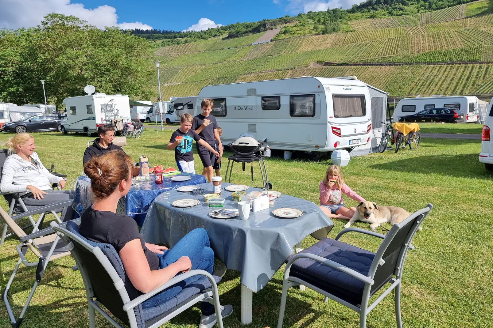 Moselcamping Wolf