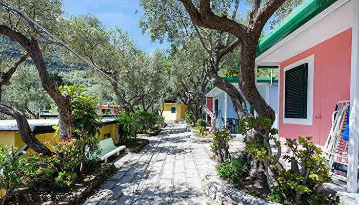 Camping Villaggio Nettuno Srl-