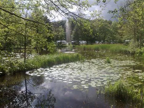 Skovly Camping 