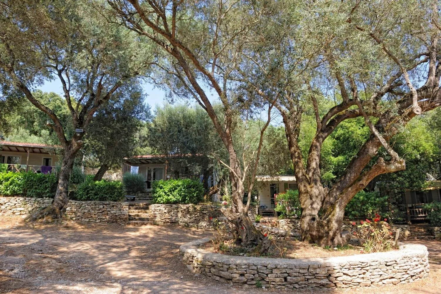 Camping Di Liccia-