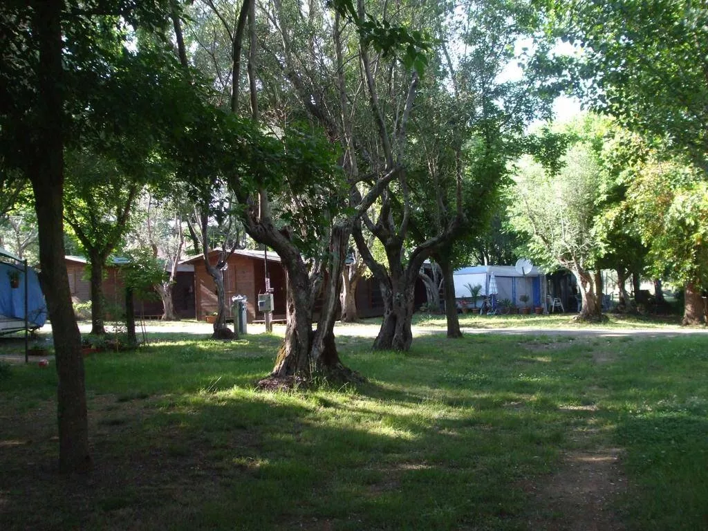 Camping Azzurro -