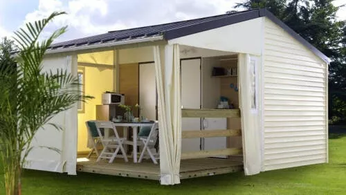 Flower Camping LArize -