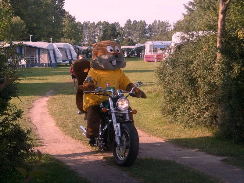 Hummingen Camping