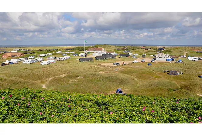 Dancamps Holmsland