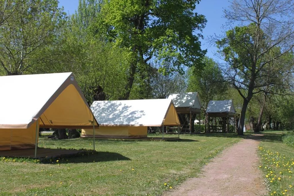 Flower Camping Du Port Caroline -