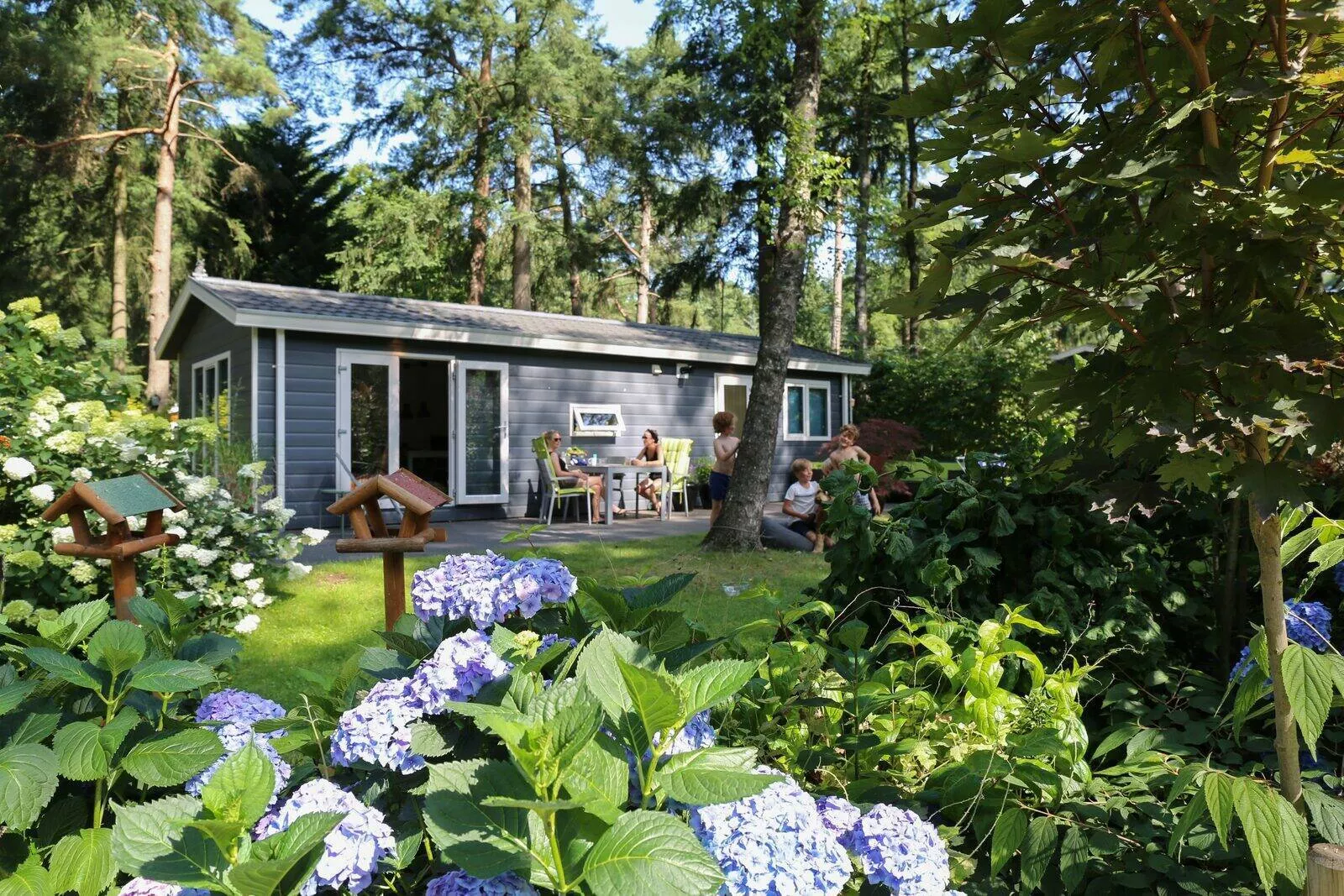 Vakantiepark Bonte Vlucht-