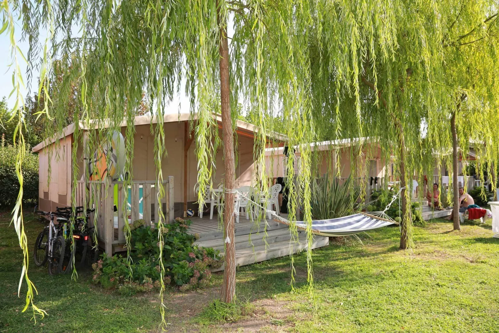 BLU International Camping -