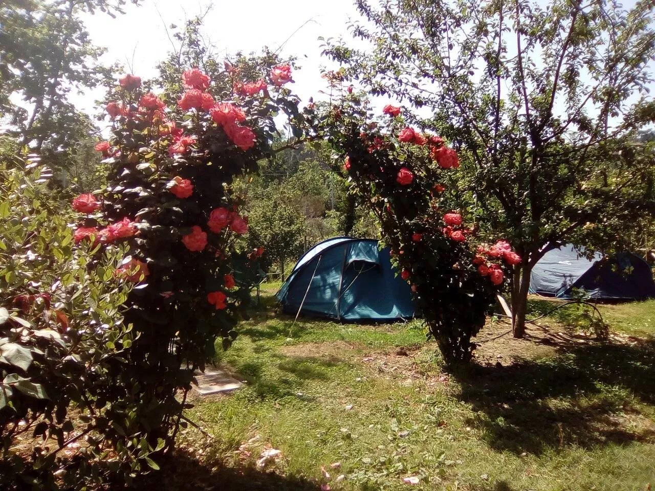 Agricamping Oasi del Belvivere