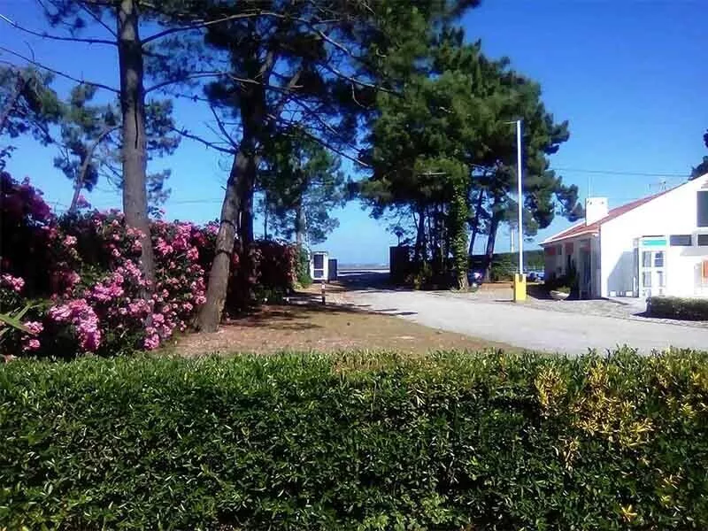 Camping Orbitur S. Jacinto