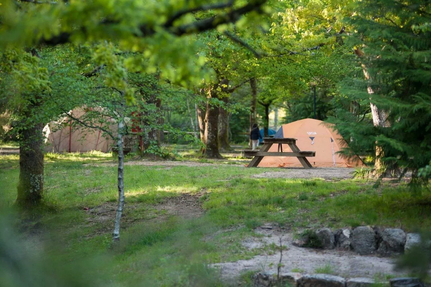 Parque de Cerdeira 