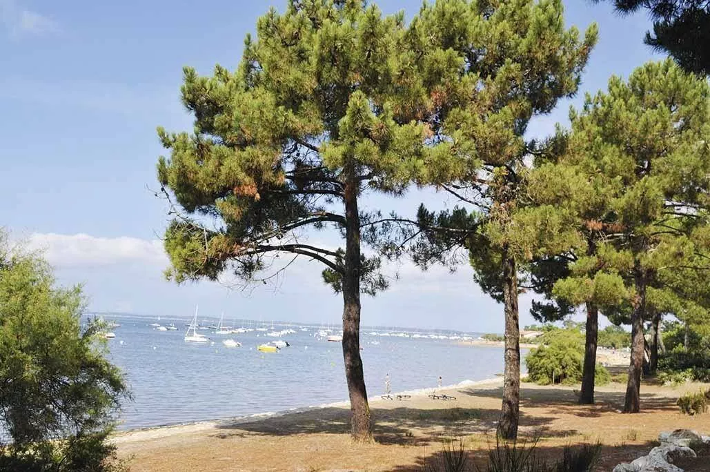 Camping Fontaine Vieille 