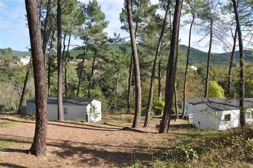 Le Font du Merle 