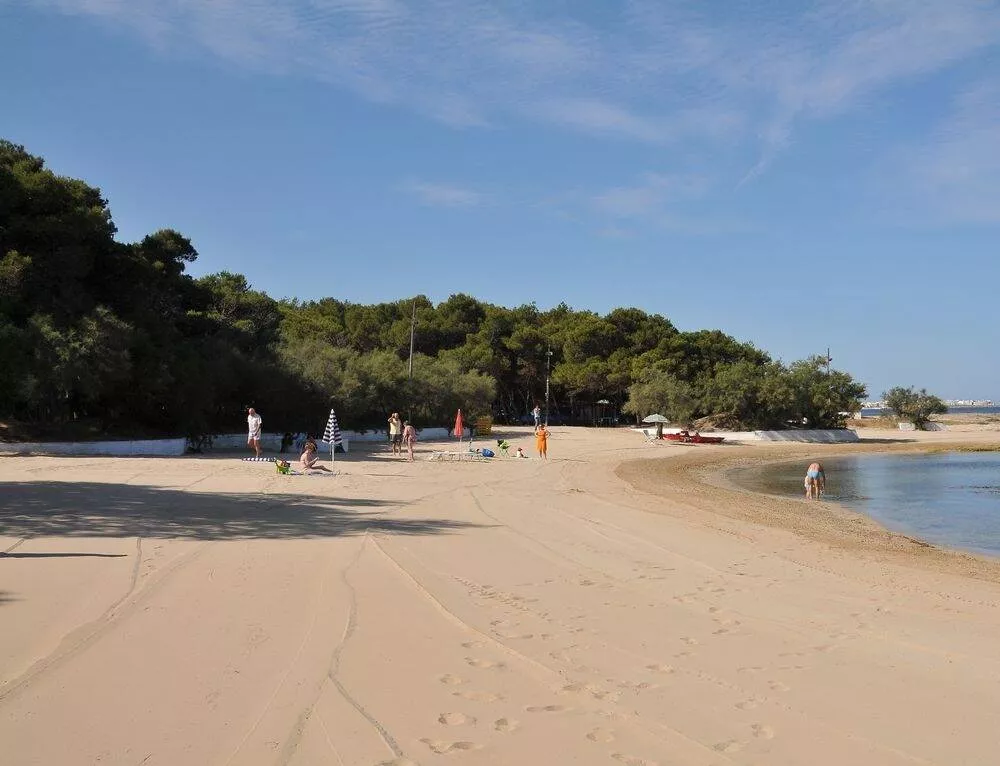 Camping La Vecchia Torre