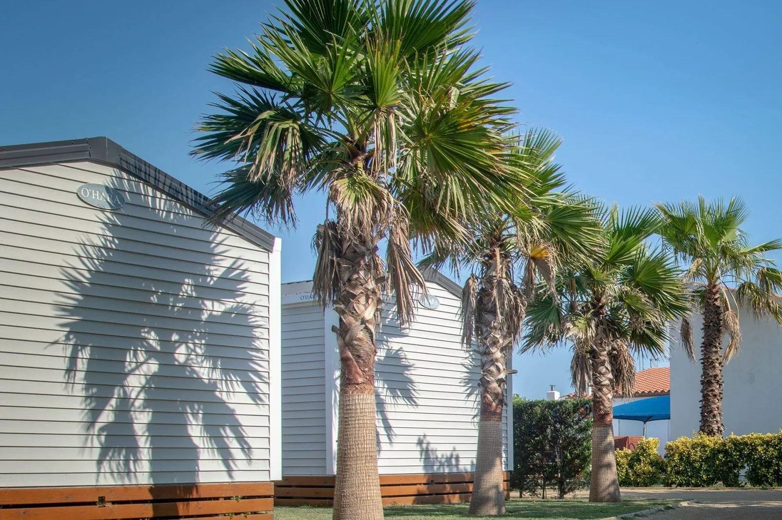 Camping La Gaviota