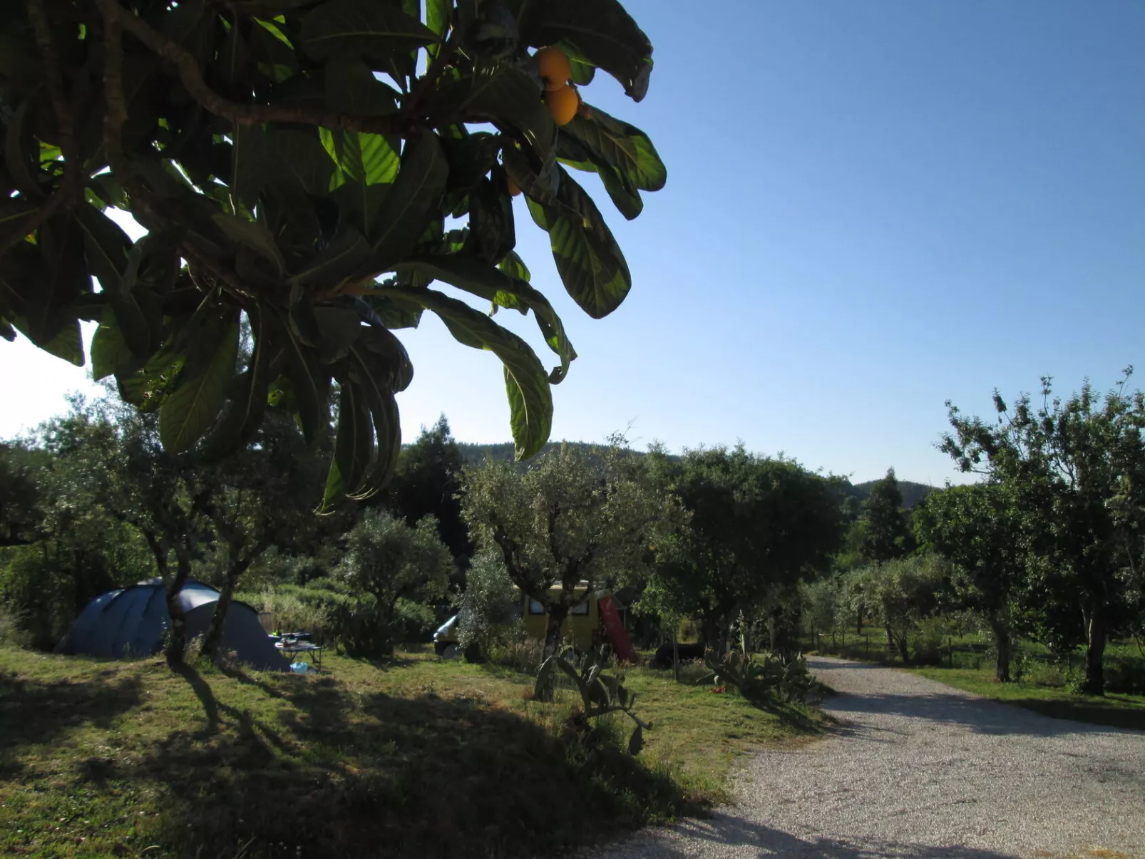 Camping Quinta da Cerejeira