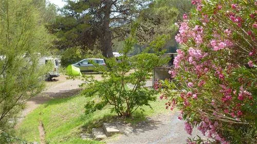 Camping Les Terrasses 