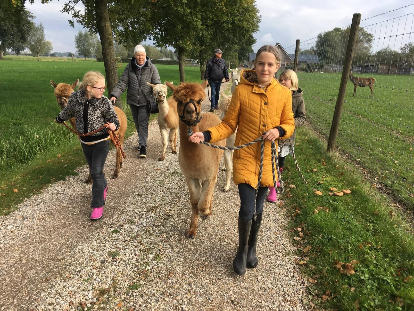 Recreatie- & Hertenboerderij De Weerd
