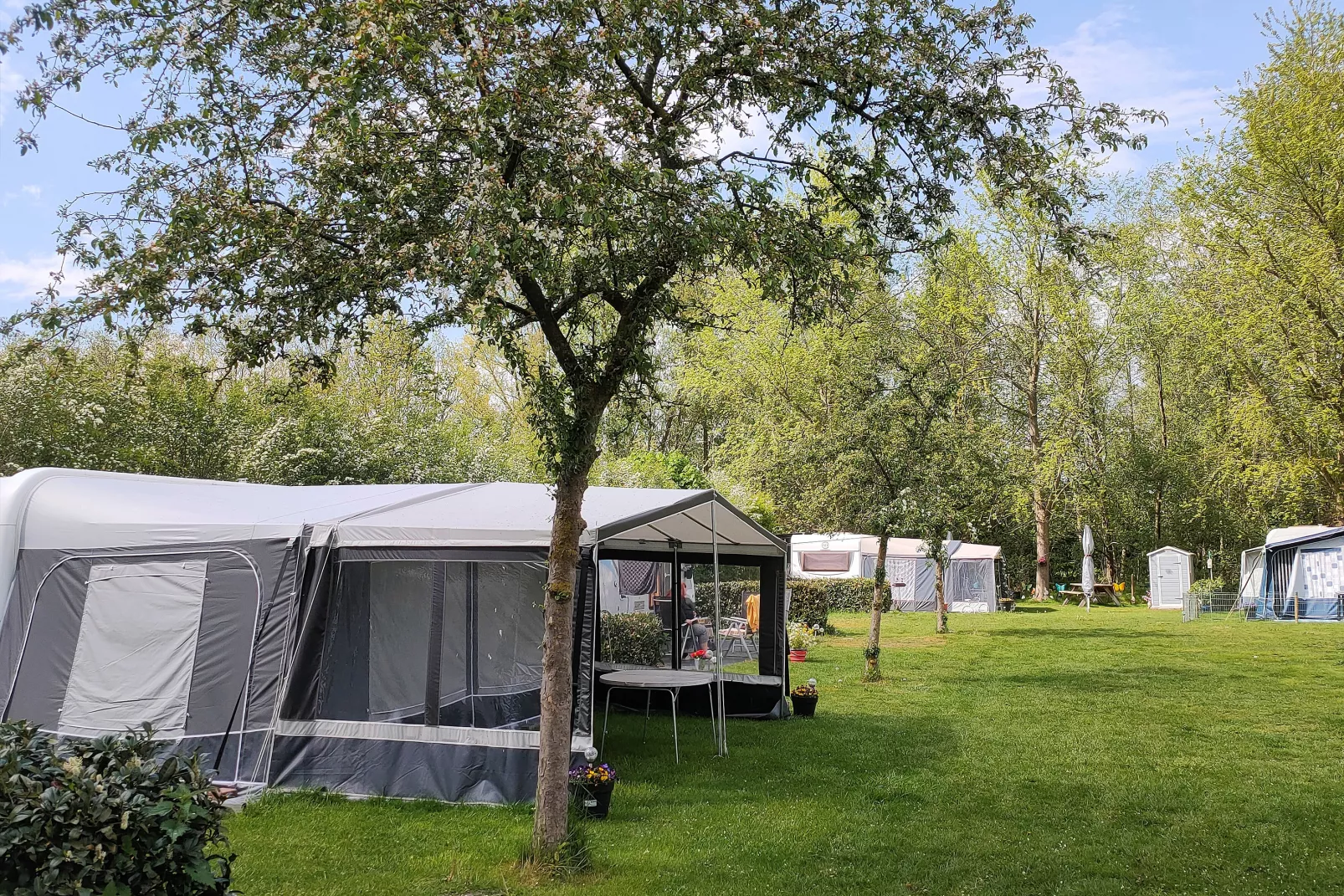 Camping De Zwammenberg
