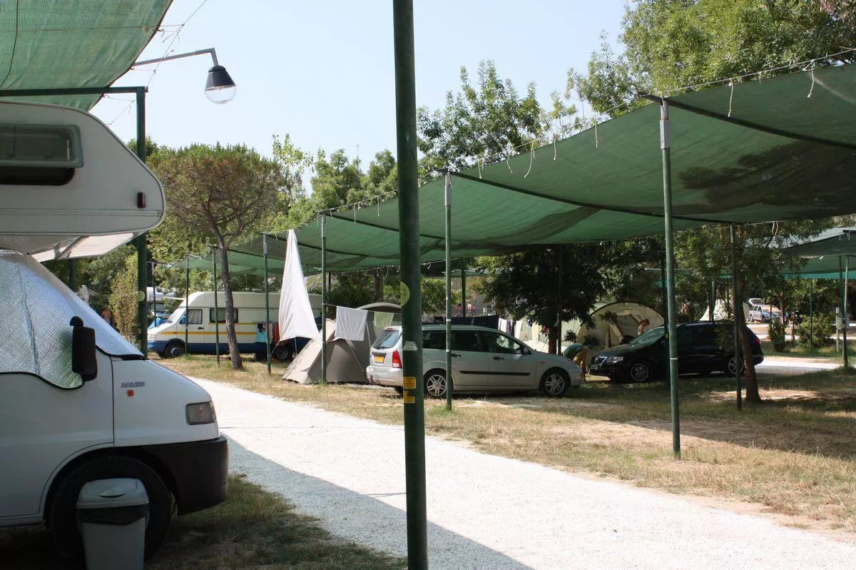 Camping Torre Pendente -