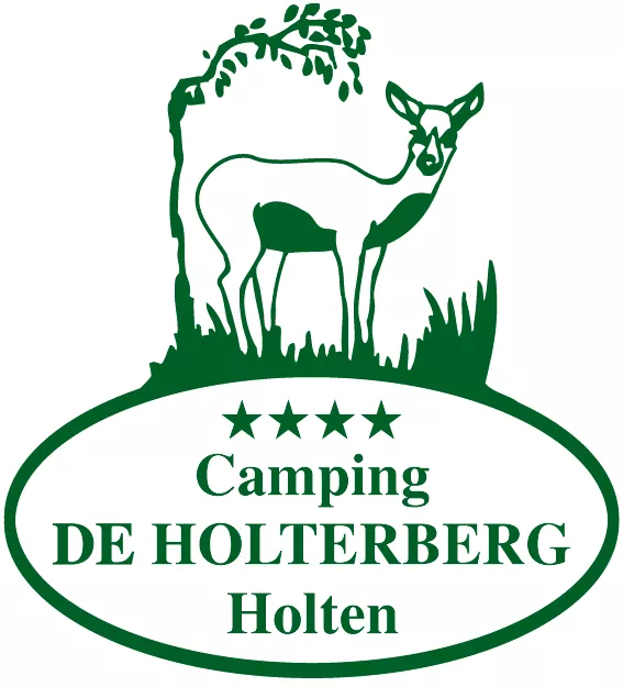 Ardoer camping De Holterberg-