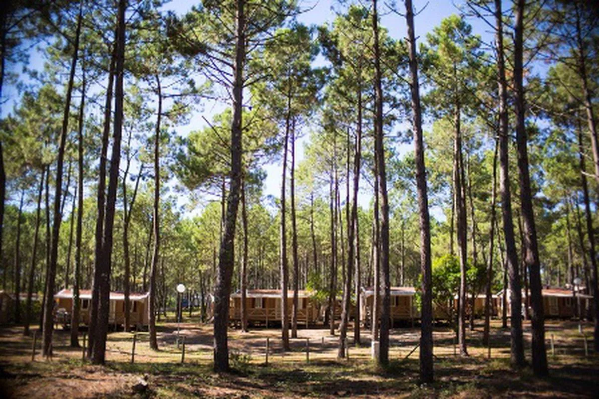 Camping Campéole Les Tourterelles -