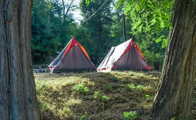 Camping Opatija 2