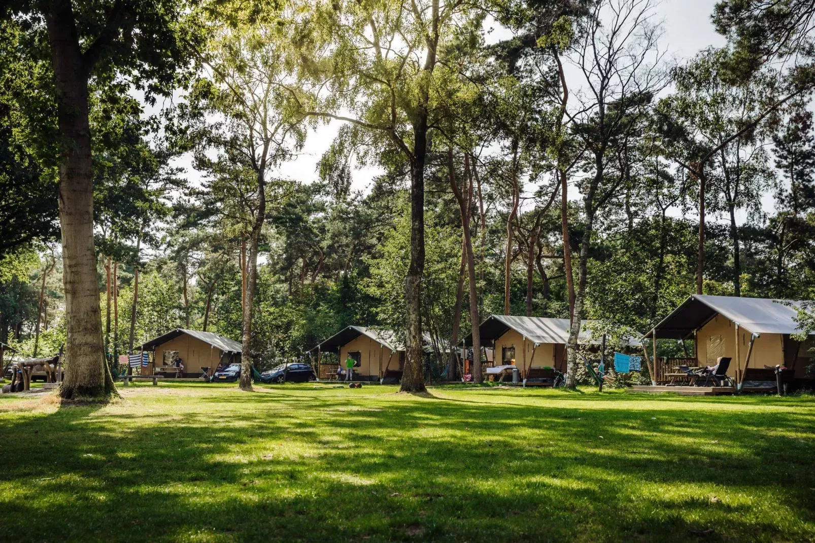 De leukste campings in Limburg