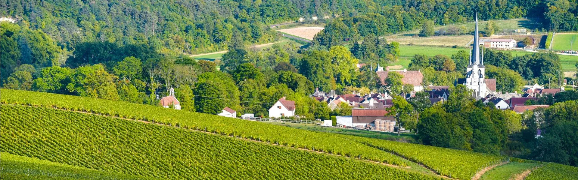 Campings zoeken in Champagne-Ardenne 